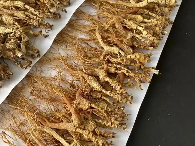 红参原产地直供,品质看得见!