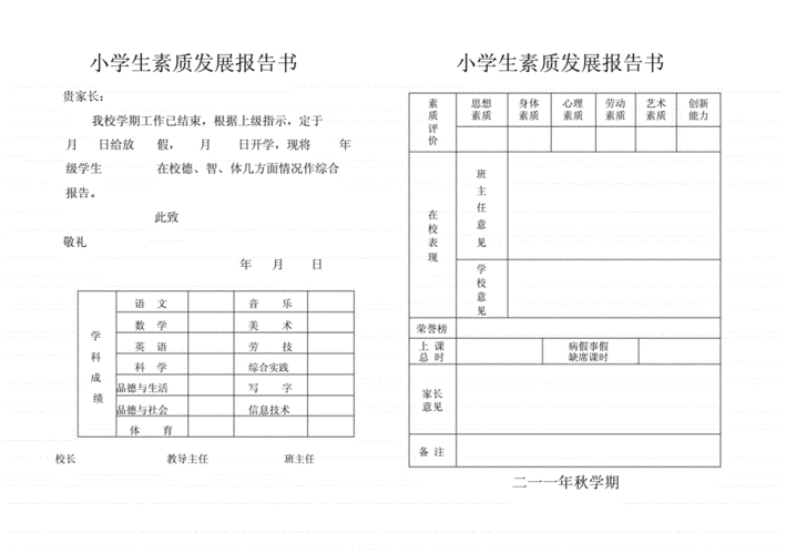 小学生素质发展报告书docx1页