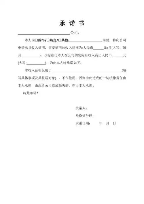 收入证明承诺书范本