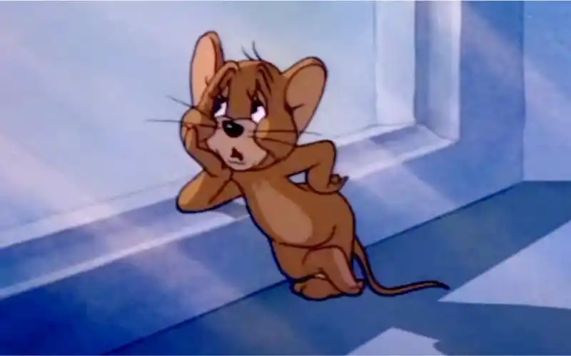 猫和老鼠一一伤感版_哔哩哔哩_bilibili