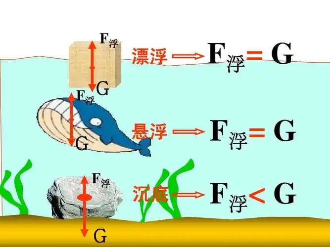 f浮 f浮 g 漂浮 f浮 = g f浮= g g f浮 悬浮 沉底 f浮  g g 第10页
