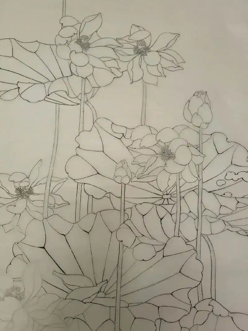 荷花线描始稿(局部).#工笔画 #白描 #纯手绘 #想画就画 - 抖音