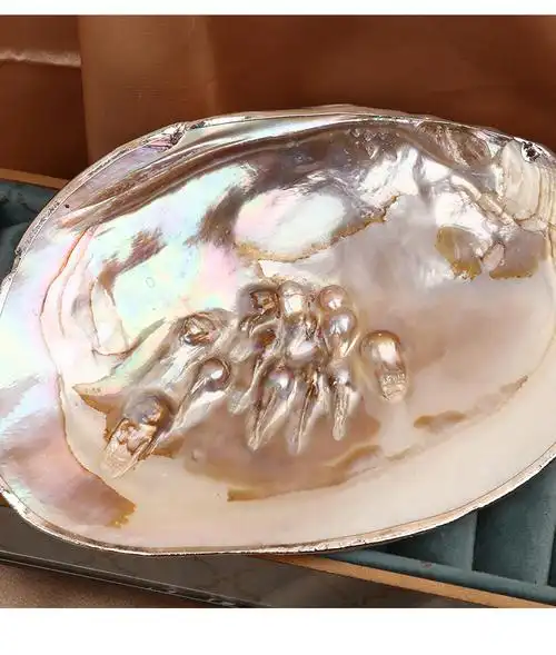 天然淡水珍珠河蚌贝壳鎏金摆件工艺品