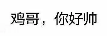 鸡哥,你好帅_鸡哥_你好表情