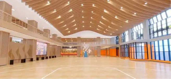 规划2700个学位!川外附中两江中学明年9月正式开学- 网络记者 -华龙网