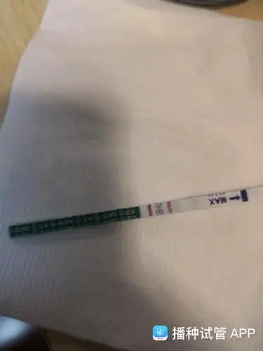 不连移植当天,今天第十四天,试纸