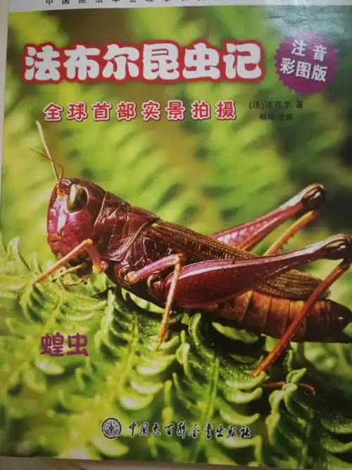 我是四年级一班,吴善政,我今天读书的事,发布尔昆虫记,因为我喜欢昆虫