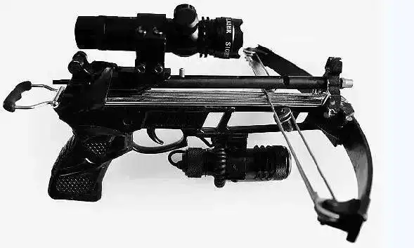 麻醉针或毒针有的偷狗贼为加快偷狗进度,在狗狗还在挣扎的时候,直接拎