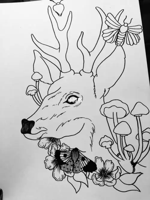 林中有鹿黑白简笔画插画教程简笔画插画文化