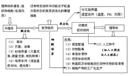 【引用】《现代生物科技专题》中的技术流程归纳与试题分析(2)