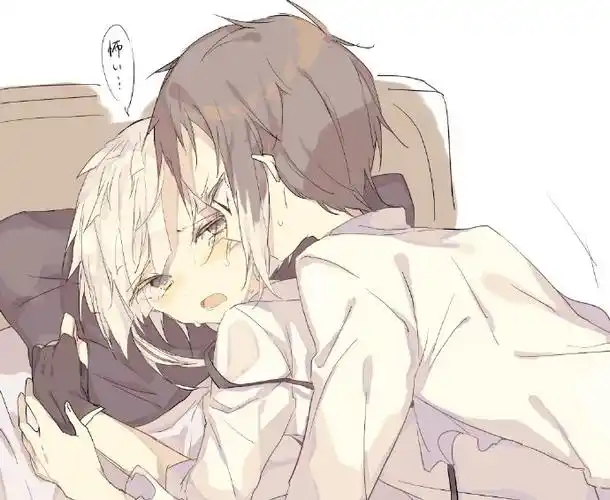 芥敦##文豪野犬