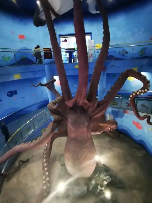 长春中泰海洋世界一