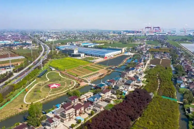 美翻了我的村第64期 | 江苏省扬中市利民村:奏响文明曲 绽放幸福花