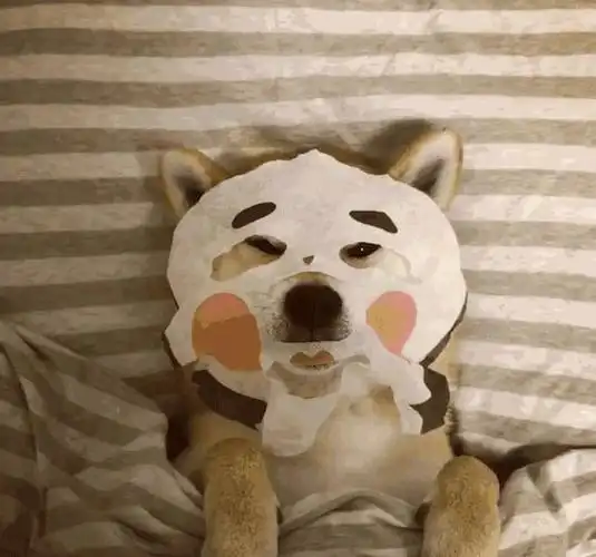 面膜都笑掉了gif回头gif微笑gif话筒gif