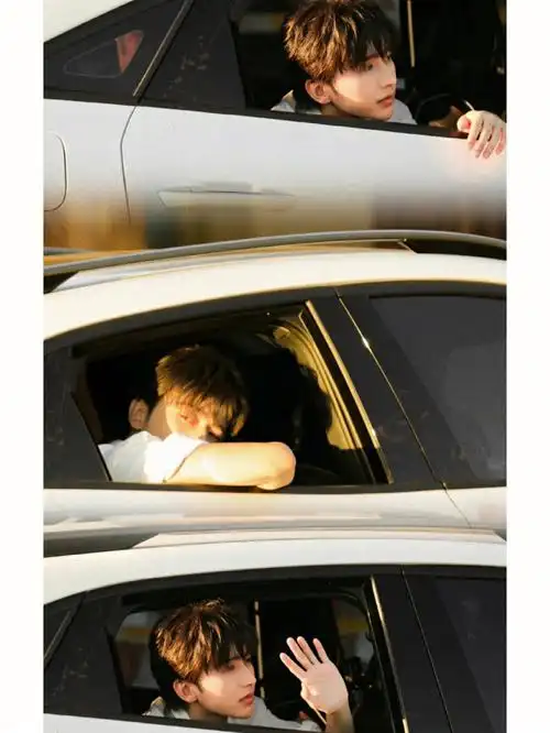 蔡徐坤车内氛围感