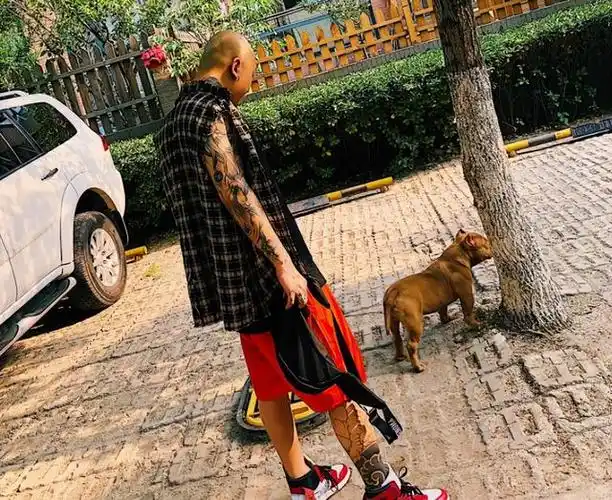 首先,在绝大多数的网友看来,满身纹身,直播"脏话乱飞"的老方丈,就是负