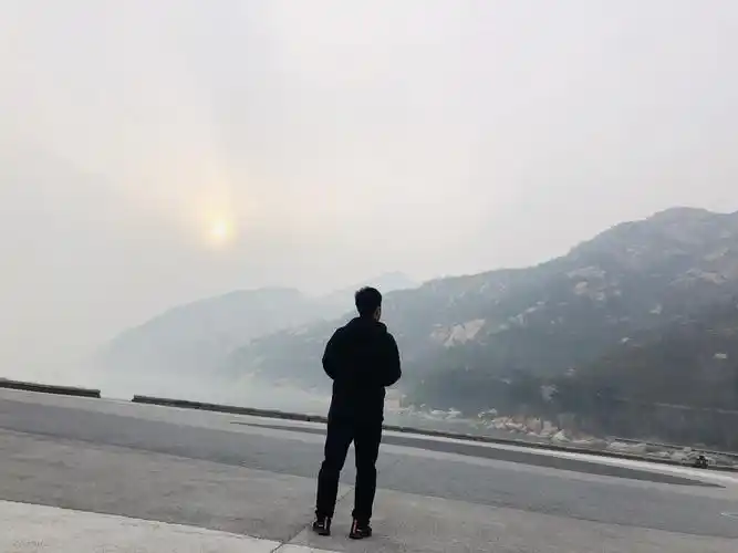 你万人之上时很帅而你一无所有时像一条流浪狗