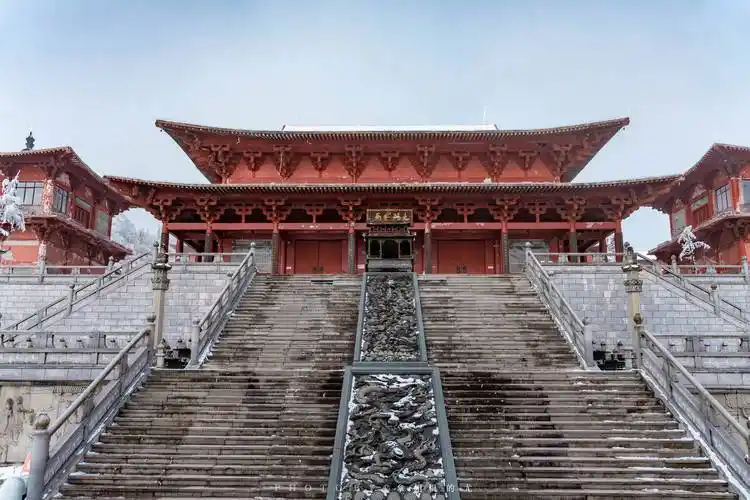 没想到游客爆满的金佛山,却能在这个秘境独享云海_竹林_世界_杜鹃