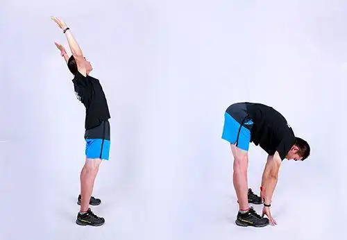 (2)腹背运动 要求:双手上举时向后振动,向下时尽量向下振,手尽量接触