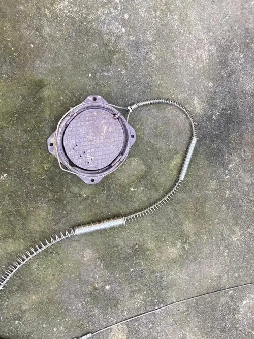 野猪下山为患:不断逼近村民生活区,14省份试点防控