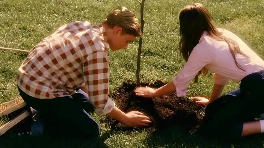 怦然心动 | 斯人若彩虹,遇上方知有