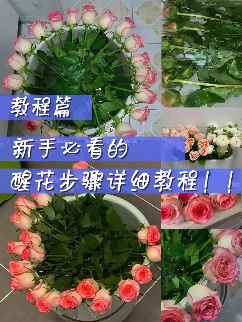 网购鲜花的正确醒花方法.保姆级醒花教程,手把手教你醒花94| - 抖音