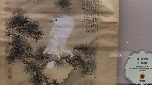清御用画室郎世宁《白鹘图》