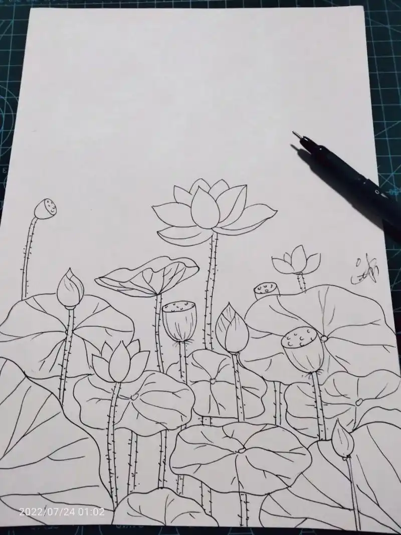 画荷花塘 画夏日荷花塘简笔画.