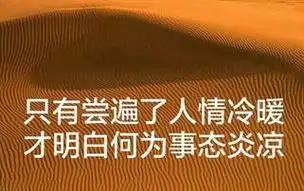 世态炎凉什么意思啊人情冷暖世态炎凉什么意思