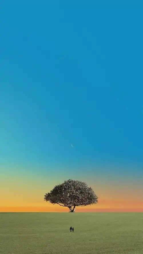 清新护眼的草原风光