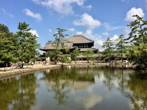 奈良是一座千年古城,日本历史文化遗产的宝库