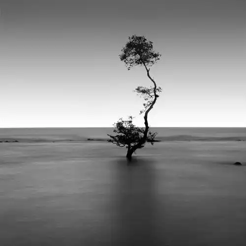 umam:黑白风光摄影以简洁和唯美著称