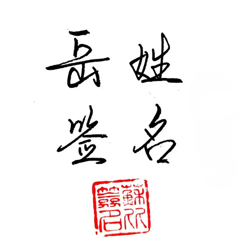 岳姓签名写法大全#岳 #签名设计 #手写名 - 抖音