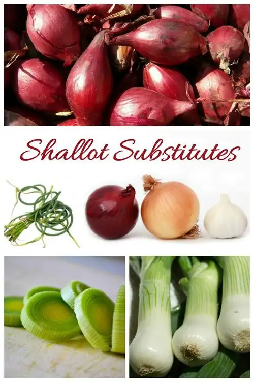 use them if you dont have shallots on hand.
