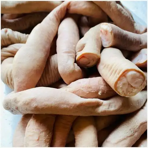 半熟黄牛牛小肠牛圆肠牛肥肠牛肠子2斤