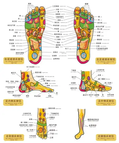 你认为的养生从哪里开始?