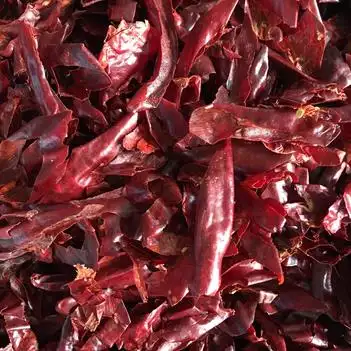 白辣椒 精品北京红辣椒皮