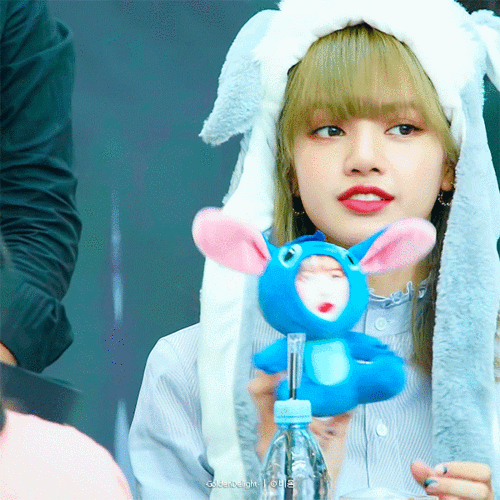 lisa 动图 cr.·goldendelight