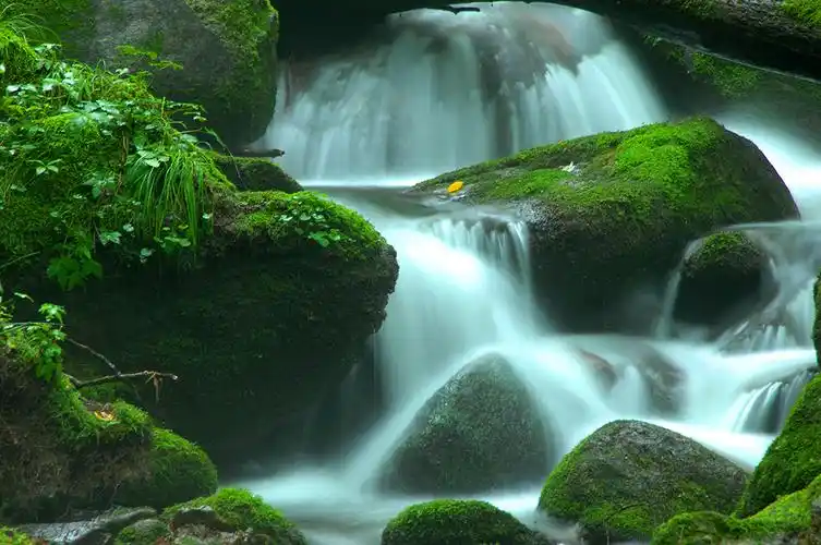 比绿石谷还美的一处山间溪水