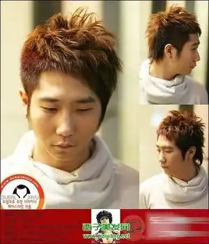 男生栗棕色头发图片