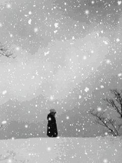 (雪花飘飘~~北风萧萧~~) 加热保暖除湿防潮抗菌防螨透气舒适 01 好