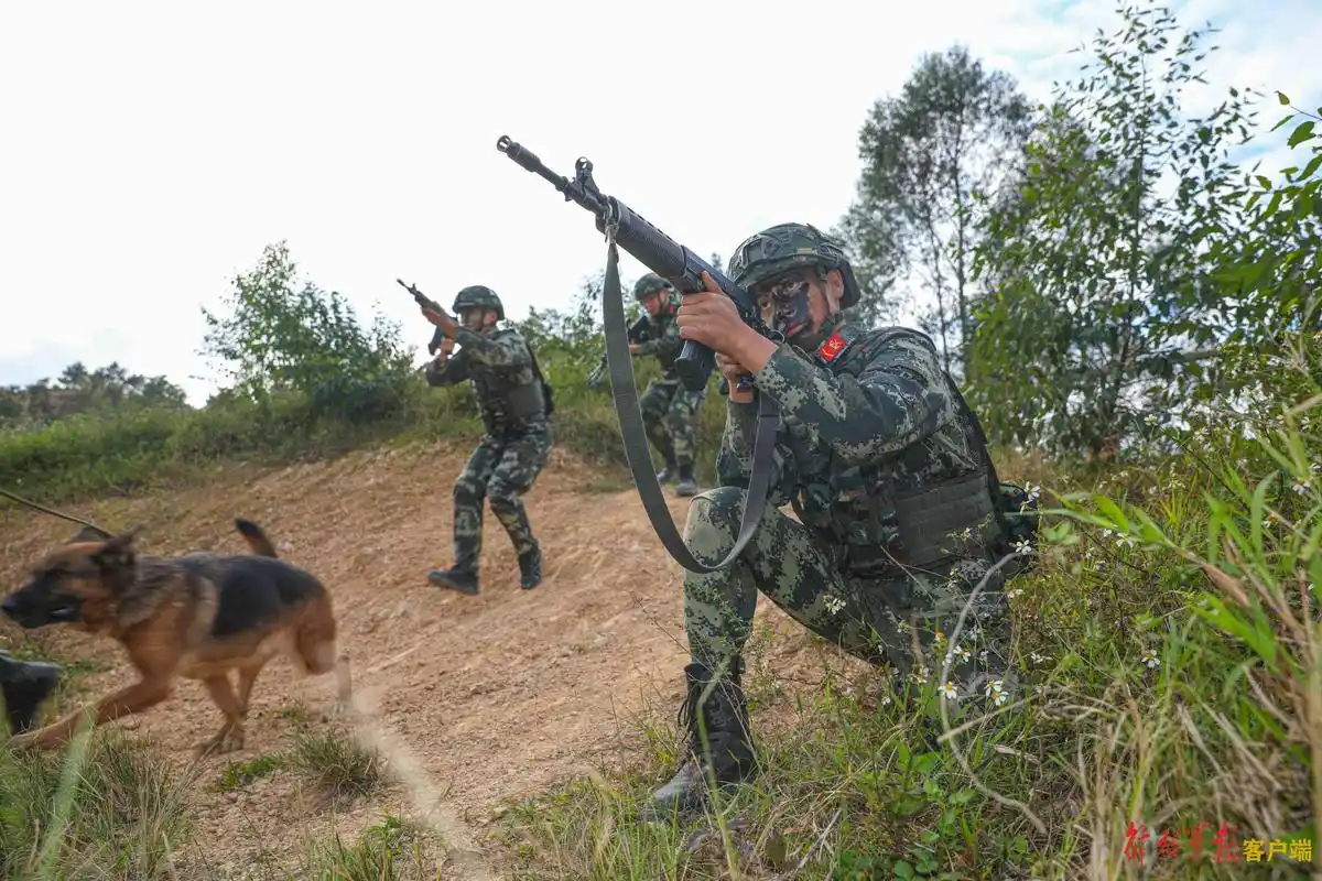 炫酷!直击武警官兵山地捕歼演练现场