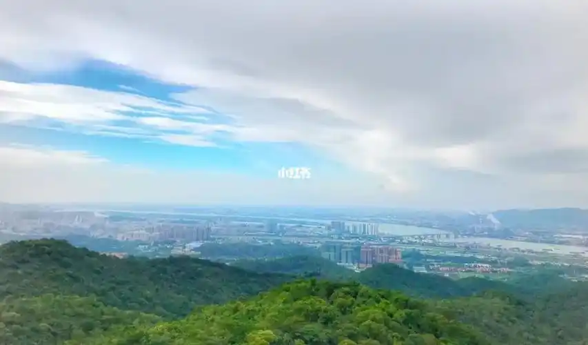 鹤山茶山吸氧圣地