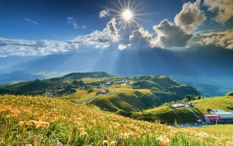 性质,景观,云,蓝天,鲜花,阳光壁纸,高清图片,壁纸,自然风景-桌面城市