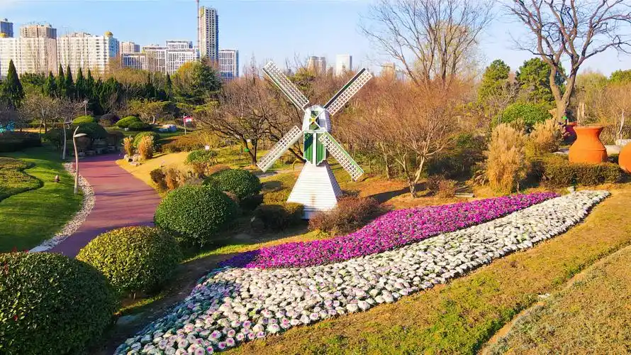 市城市管理局组织园林绿化养护单位在人民广场周边,植物园,北京路