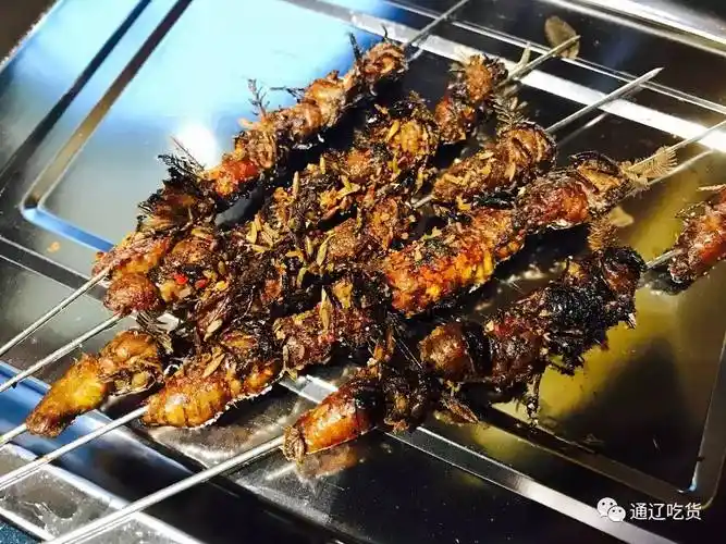 又双叒叕开新店这也许是通辽最花的烧烤店了大哲推荐no326