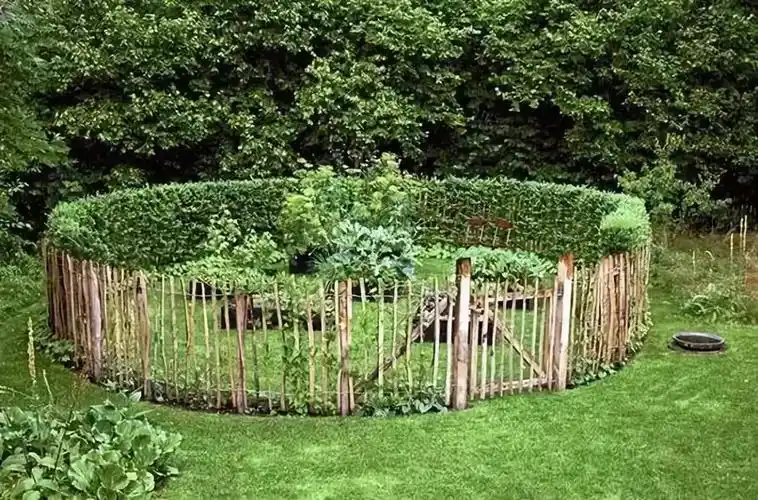 篱笆小院中待繁华落尽时与你静守流年