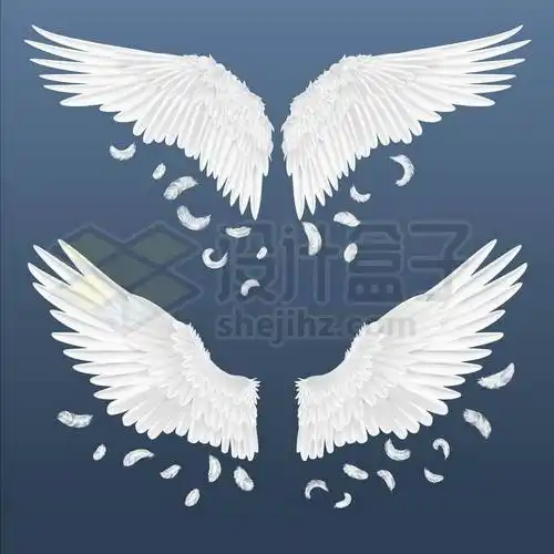 2款飘着洁白羽毛的天使翅膀鸟类翅膀3630734矢量图片免抠素材免费下载