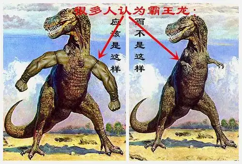 所有人都搞错了霸王龙的短小前肢是近战砍伤型武器