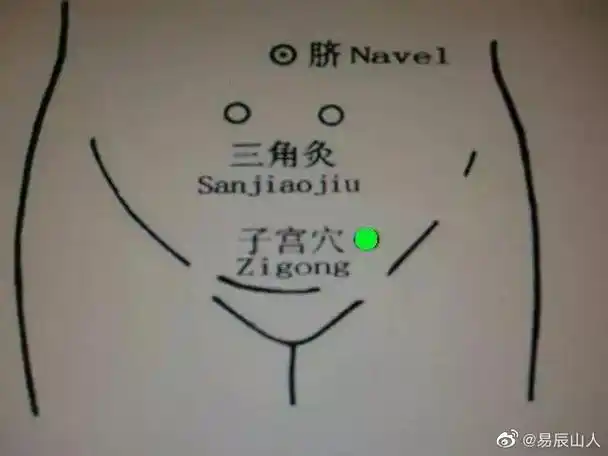 中医养生##陈易玄